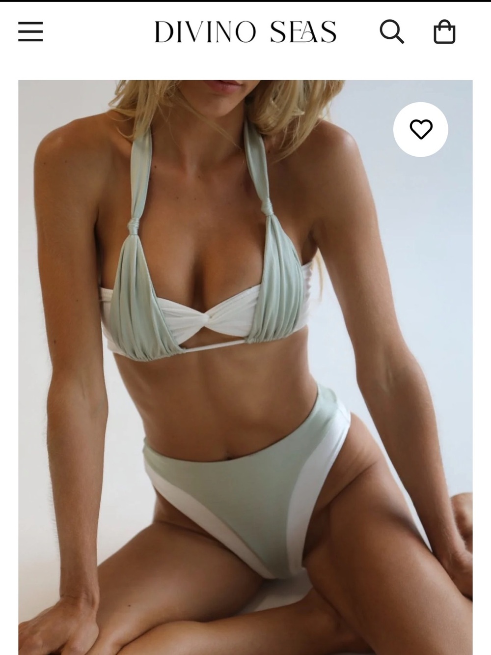 Divino seas bathing suit